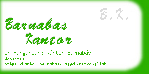 barnabas kantor business card